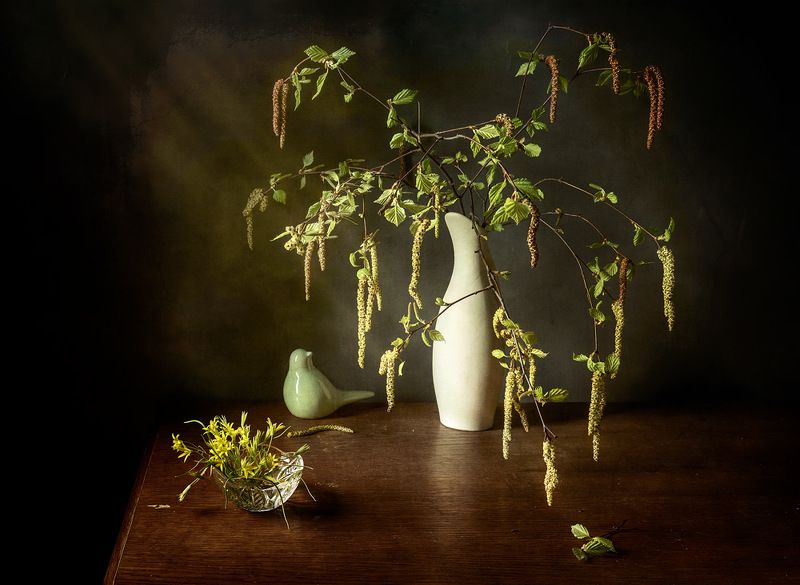 Весна пришла! Раскрылись первые листочки...photo preview