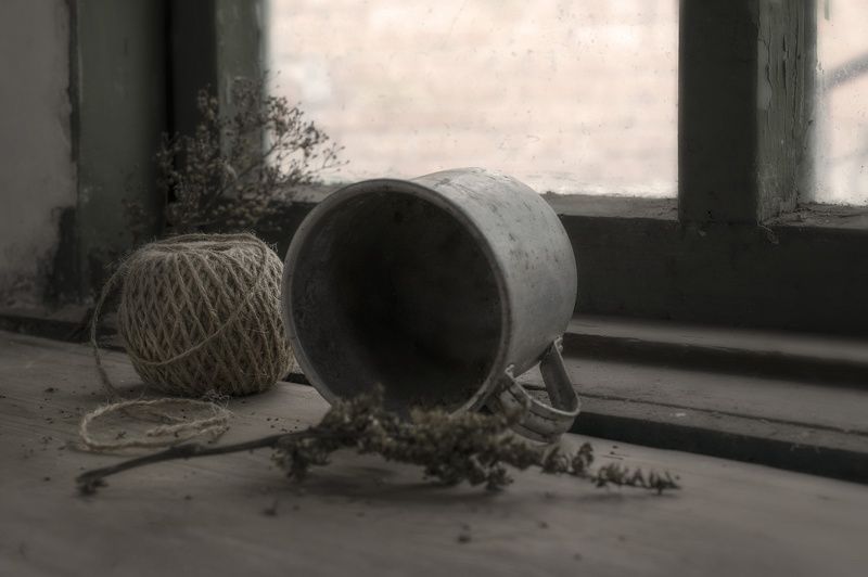 деревня, сухоцвет Забытое..photo preview