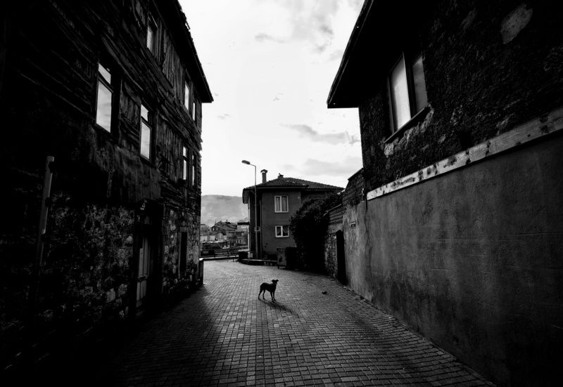 street, bnw Alonephoto preview