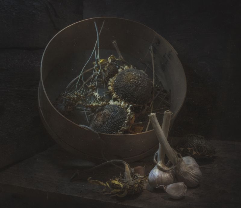 решето,старый,пыль,сарай,подсолнух,чеснок,доски Старое решетоphoto preview