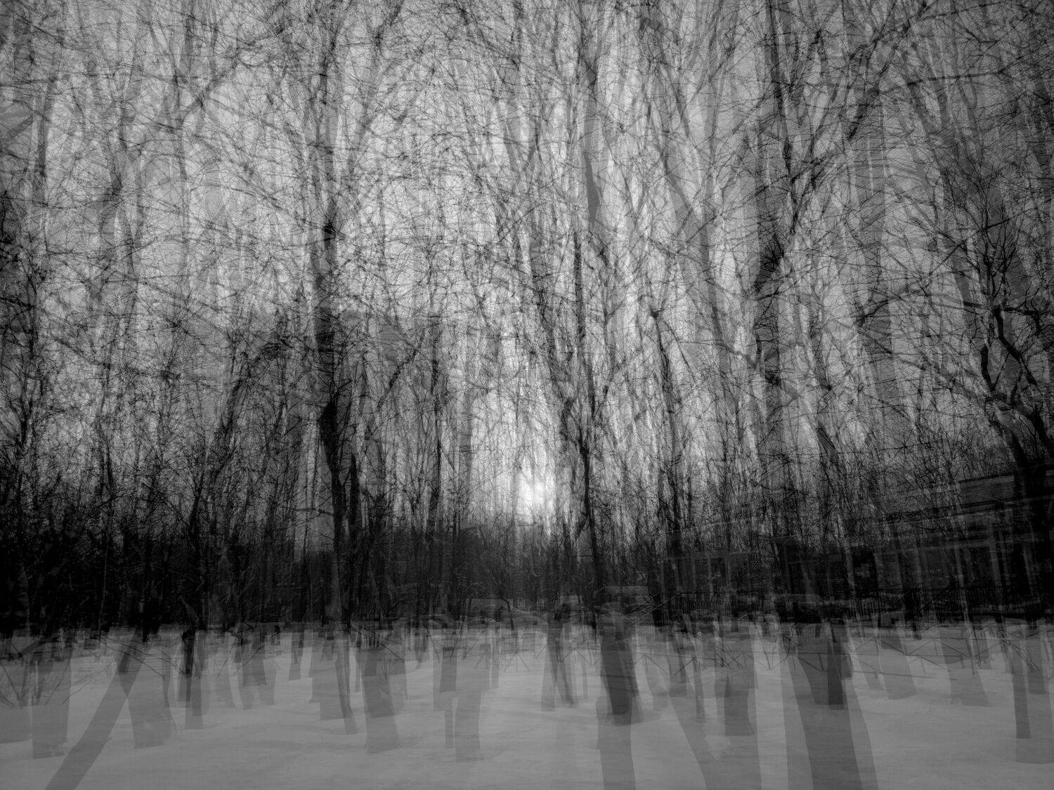 . . Автор: Антон Лаба , Антон Лаба