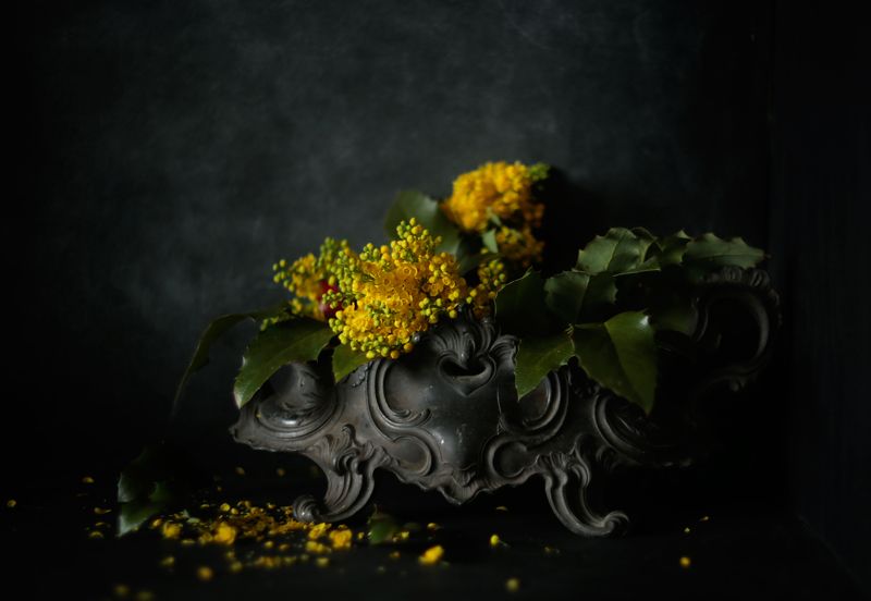 deep yellowphoto preview