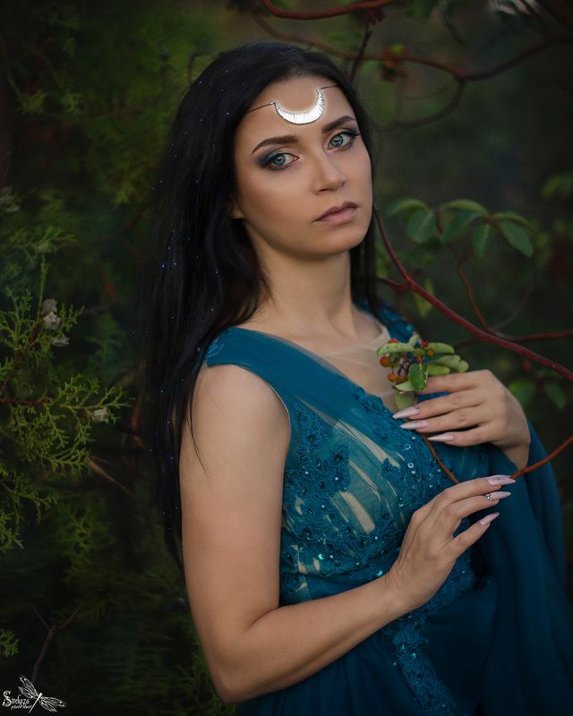 FAIRY NIGHT photo preview