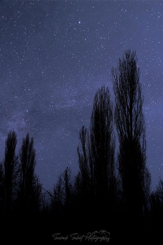 Dream Nightphoto preview