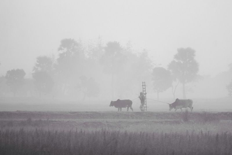 Farmer life Bangladesh photo preview