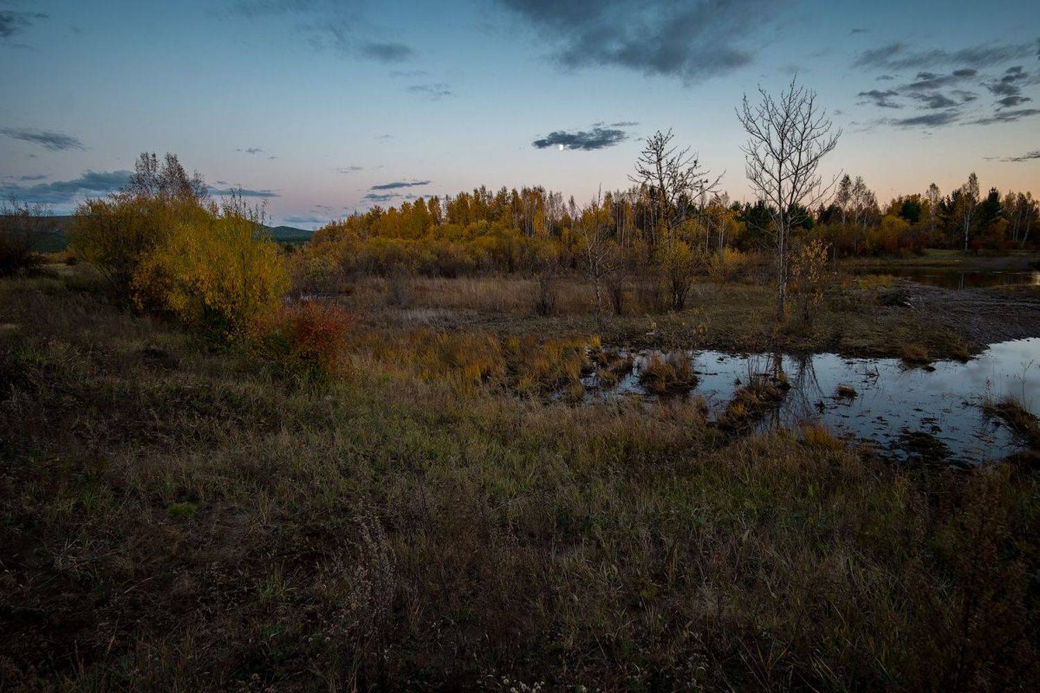 , Комеров Роман