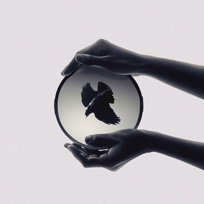 SURREAL,FANTASY,IMAGINATION,DREAM,DREAMING,DREAMY,WOMAN,LIGHT,PERSON,EMOTION,FEELING,DARK,SHADOW,MONTAGE,SURREALISM,ART,CONCEPT,FINE,FINE ART,SILHOUETTE,HAND,HANDS,GRAPHIC,CONTRAST,MIRROR,FREEDOM The Borderphoto preview