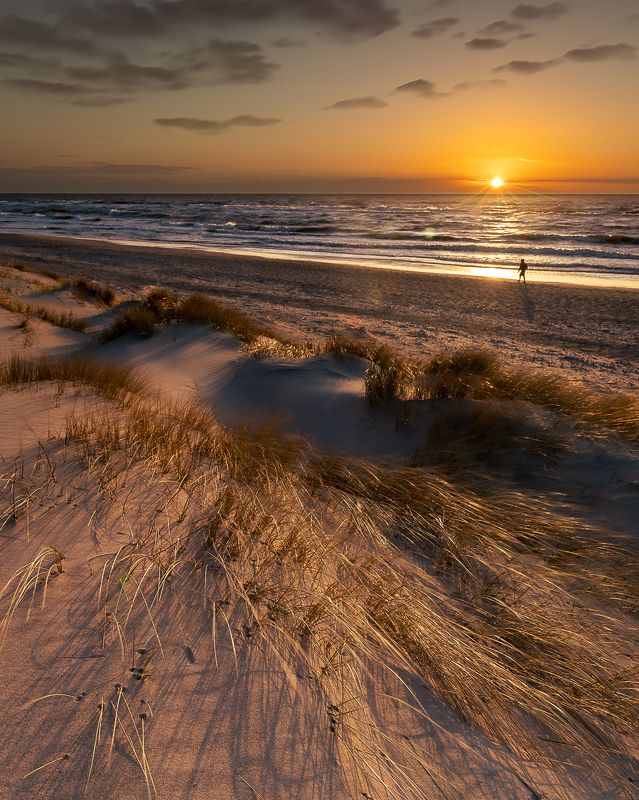 sea, water, poland, baltic, sunset, dune, spring,  BALTIC SEAphoto preview