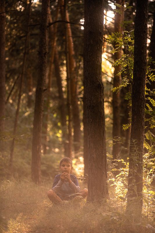 лес, мальчик, лето, деревья, дерево, лучи В лесу...photo preview