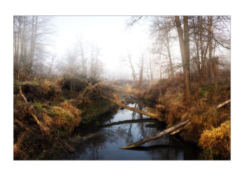 Поздней осеньюphoto preview