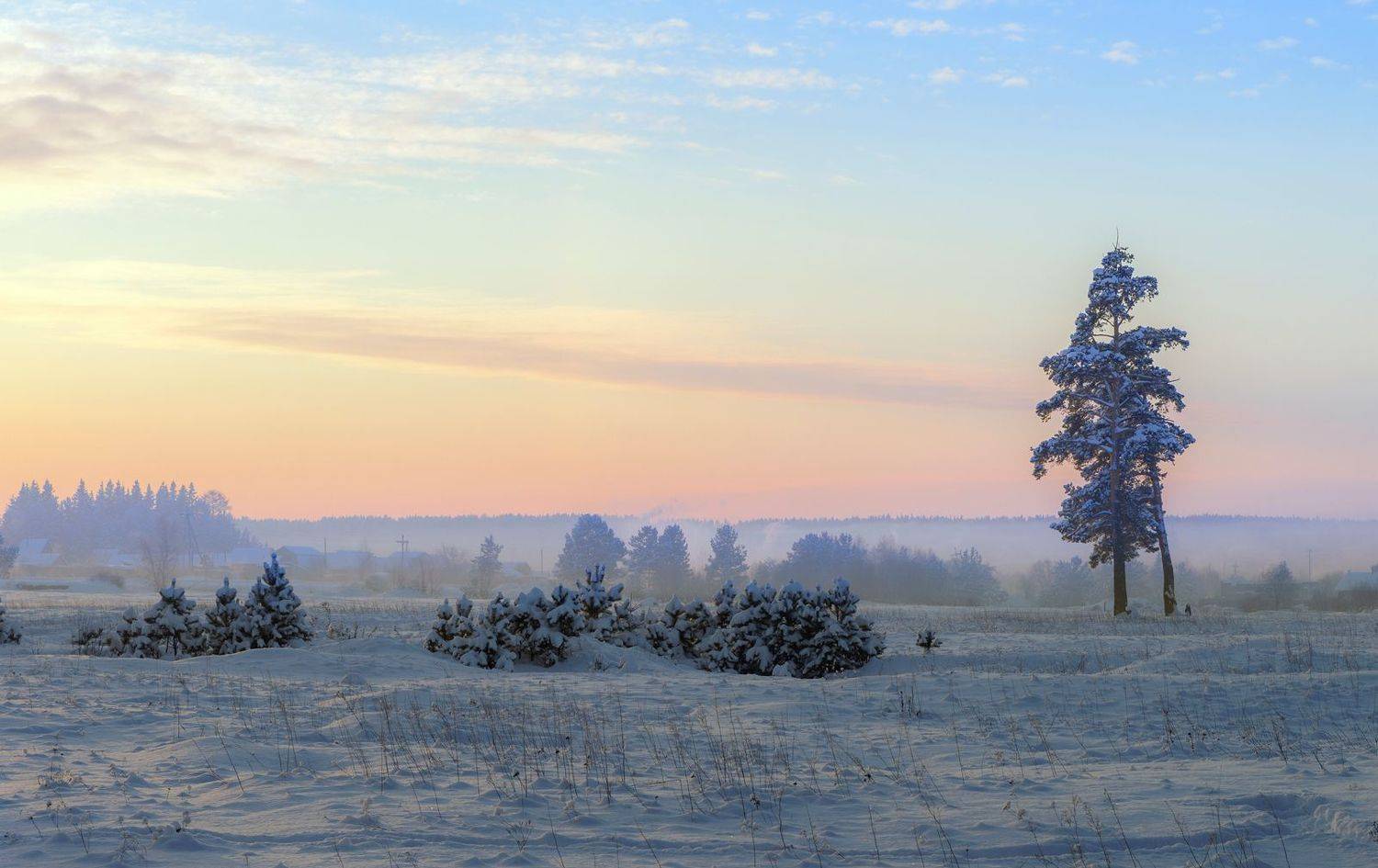 , Воинков Виктор