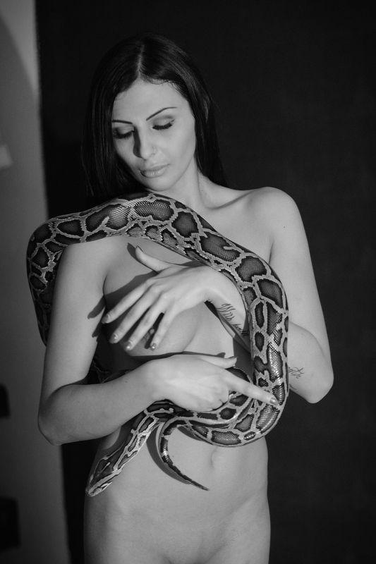 Змей-искусительphoto preview