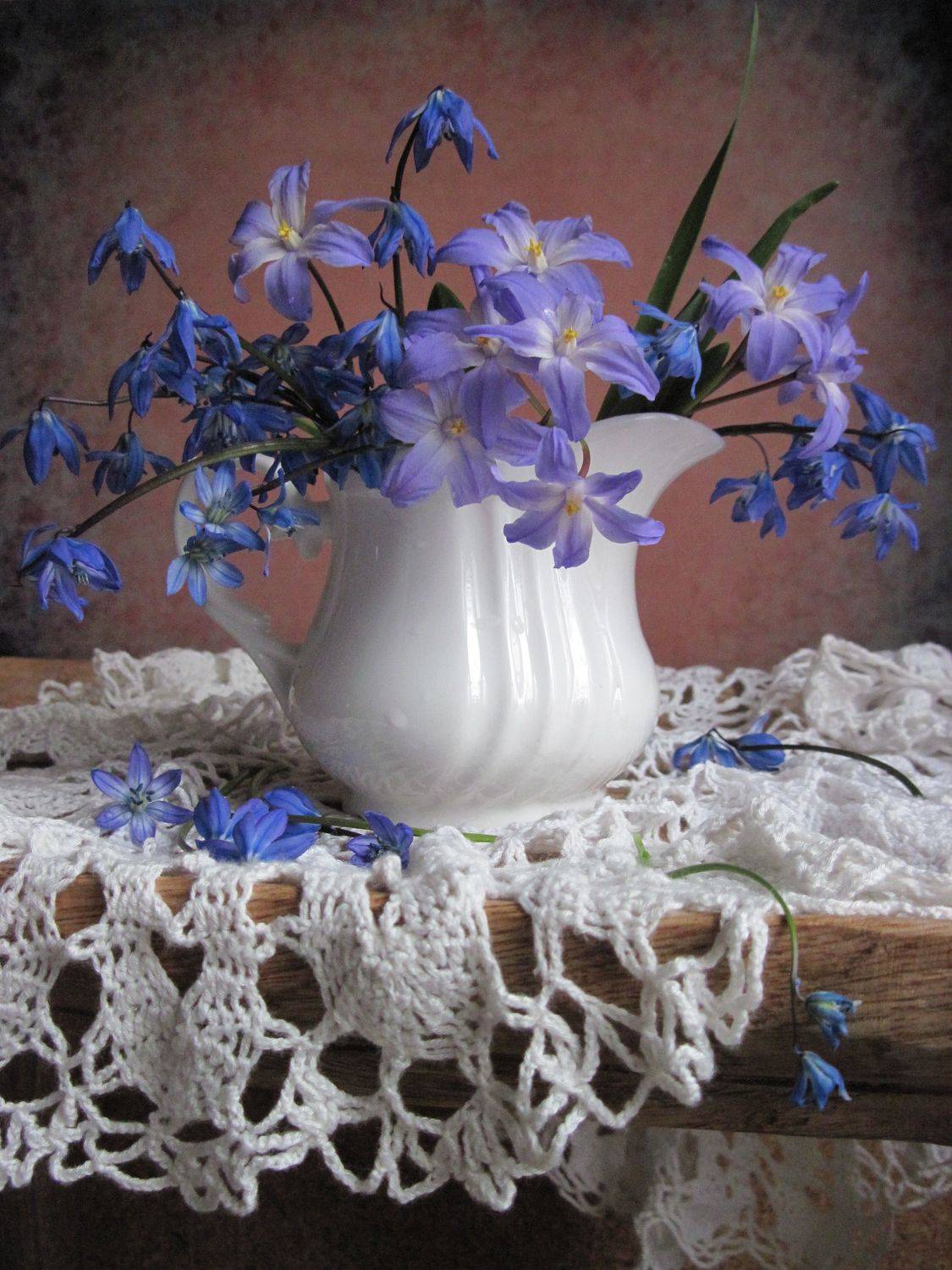 Пролески. Автор: Наталия Тихомирова цветы, букет, пролески, хионодокса, кувшин, салфетка, Наталия Тихомирова