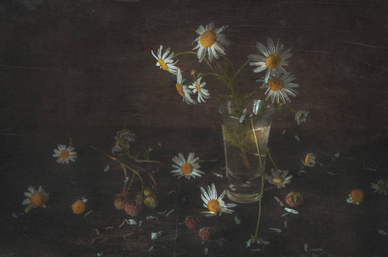 веточка ,земляника,стакан,ромашка, ягода, Володин Владимир Владимирович