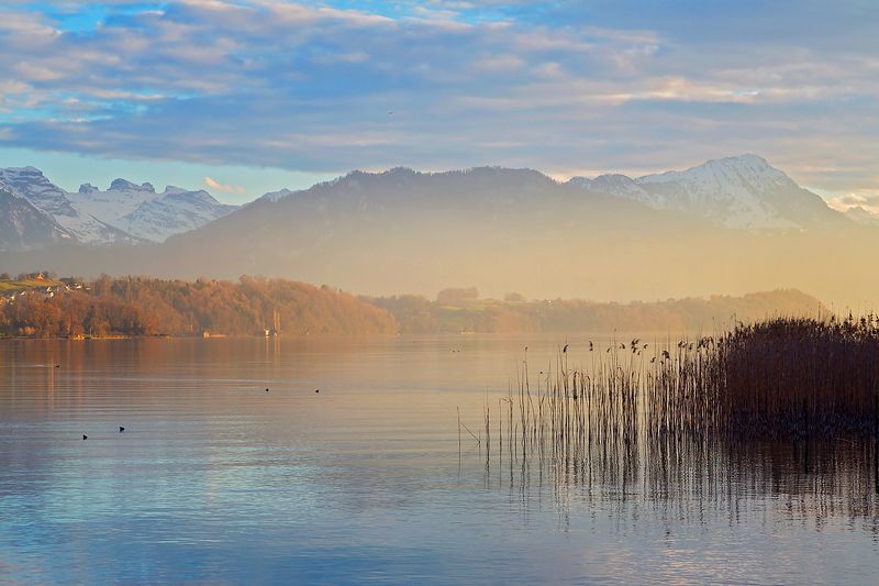 Кюсснахт ам Риги, Швейцарияphoto preview