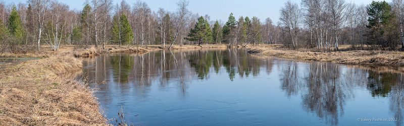 весна, весенняя река, разлив, отражения, магия отражений, мещёра, рязанская область. Pro магические миры весенней рекиphoto preview