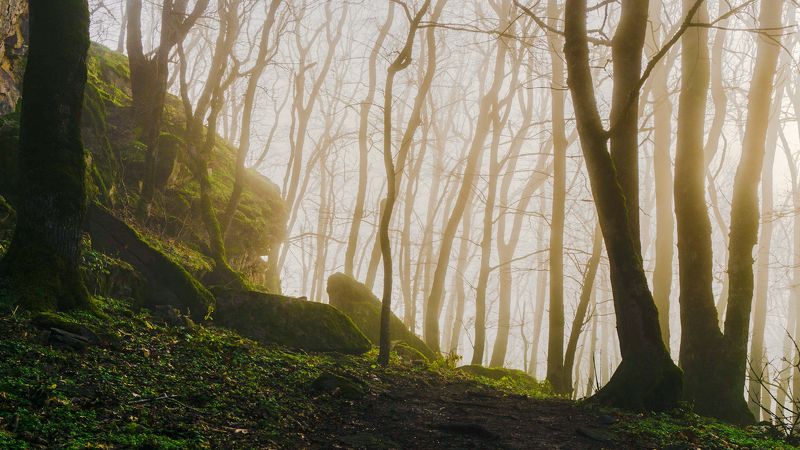 железноводск, туман, кмв У селитряных скалphoto preview