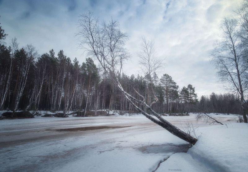 Веснаphoto preview