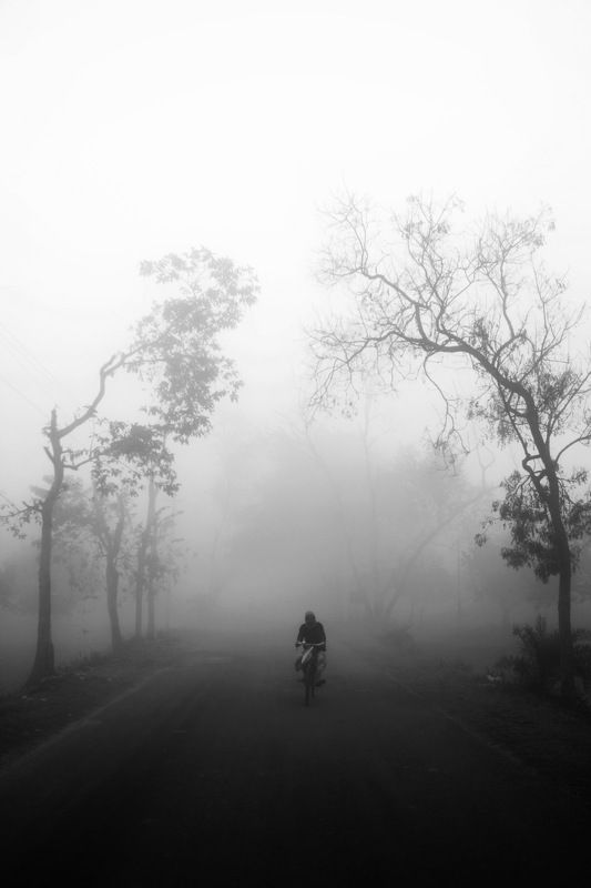 Morning lifephoto preview