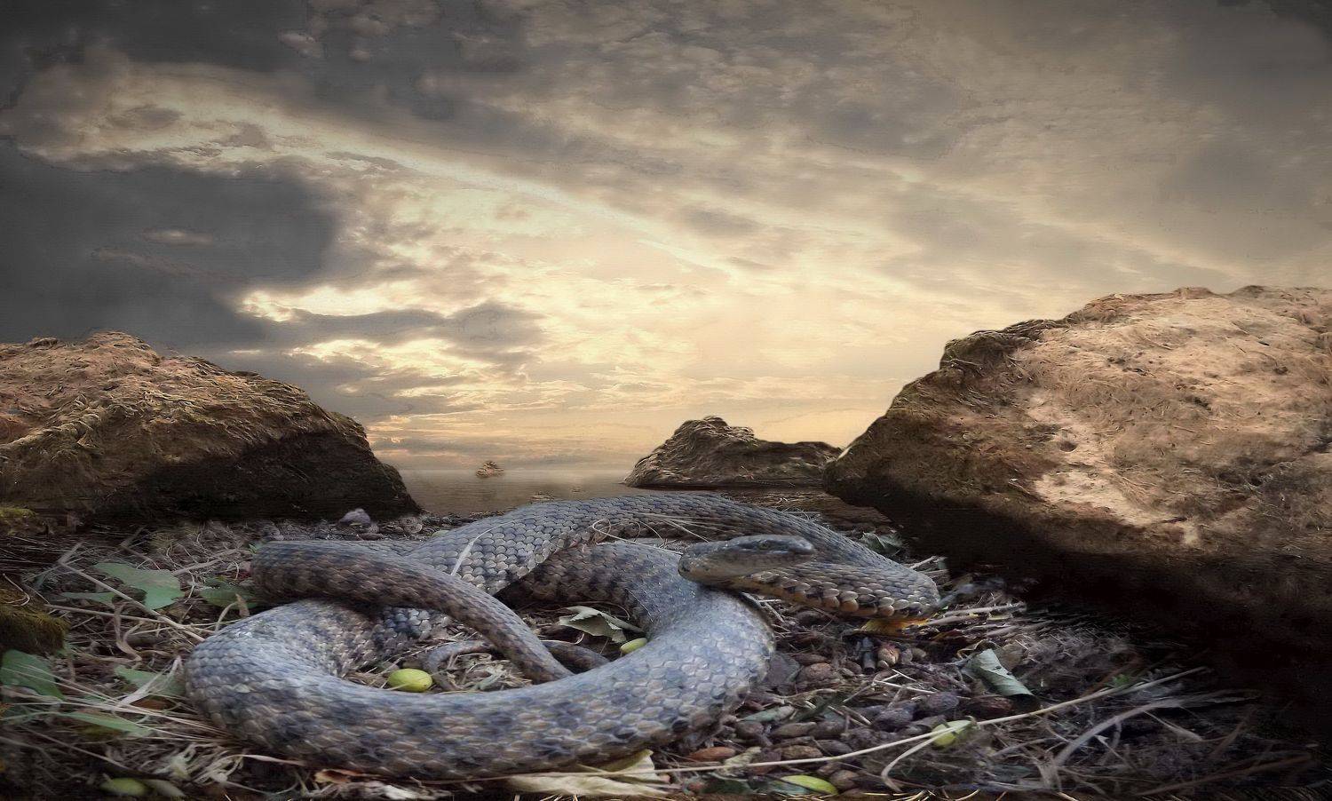 одесса, Сергей Кошелев