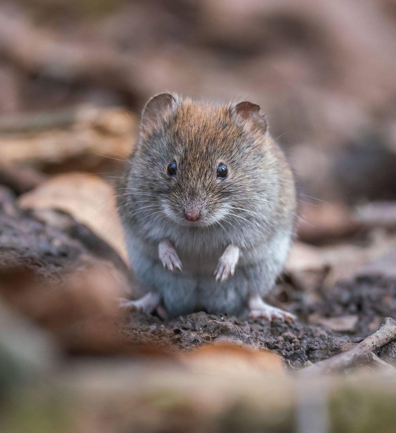 Фотограф. Даю установку !. Автор: Константин Дэм , Константин Дэм
