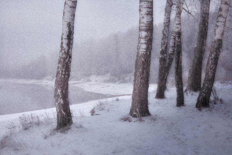 Зимний день фото превью