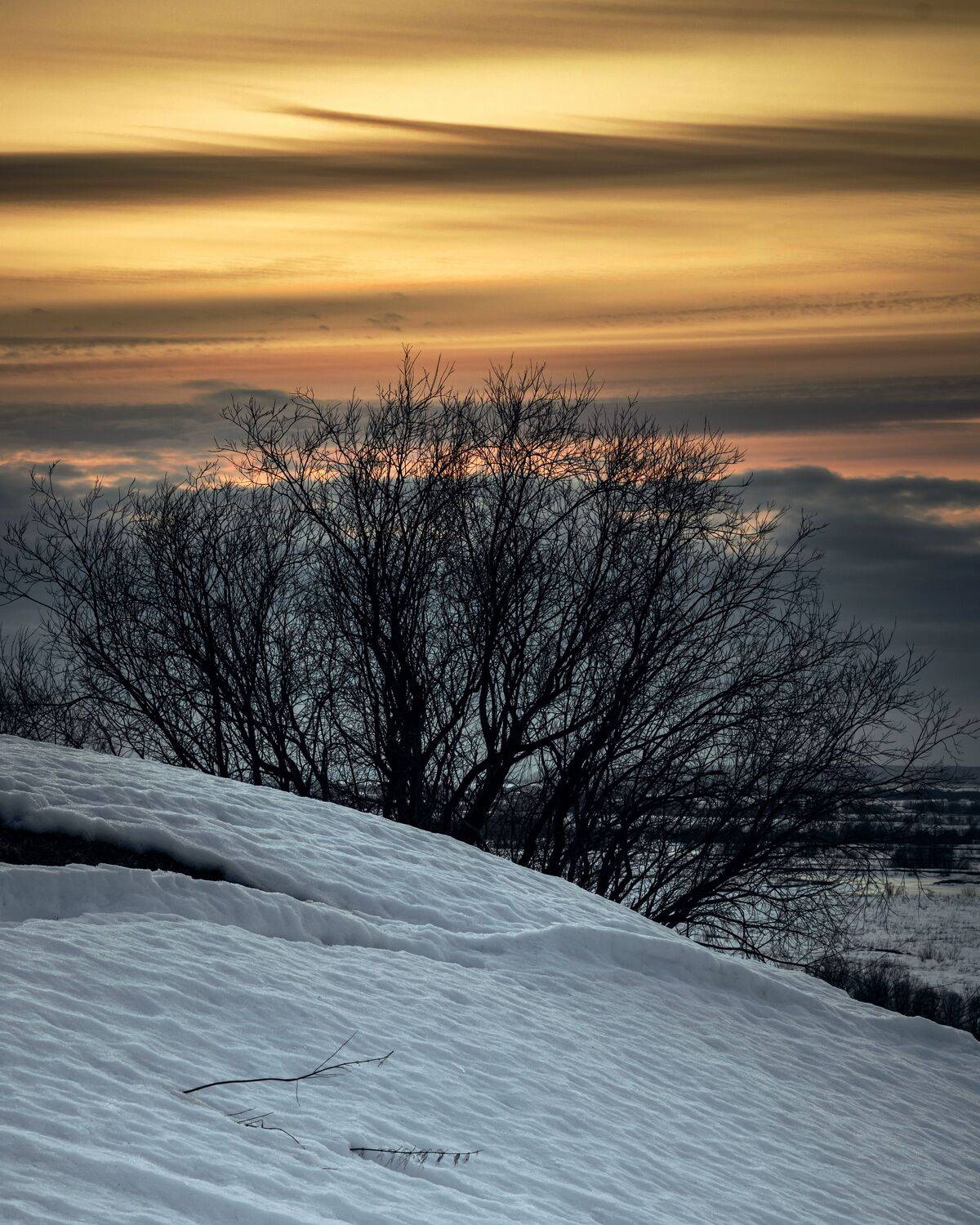 зима, вечер, холм, снег, дерево, силуэт, закат, небо, север, природа, пейзаж, Титов Александр