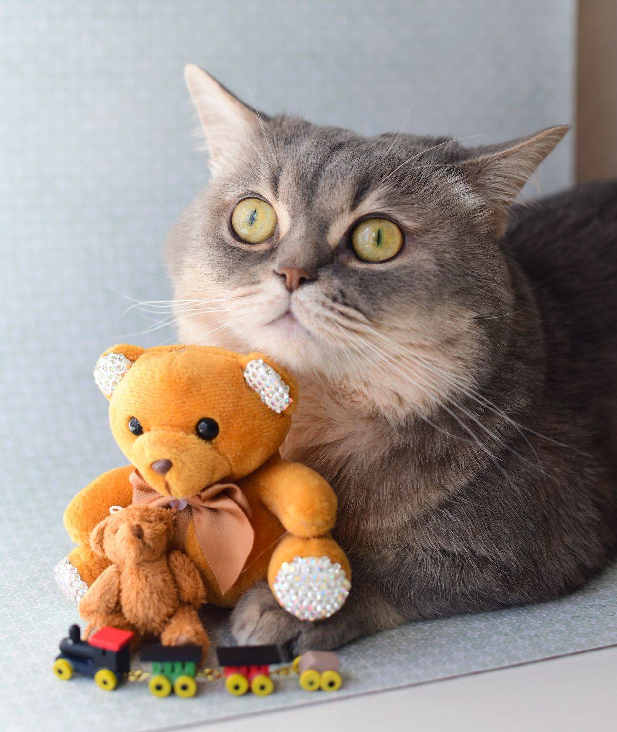 Happy Birthday Sibusya. Автор: Божена Пучко , Божена Пучко