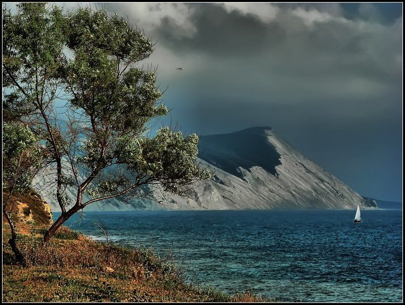 ВЕТЕРphoto preview