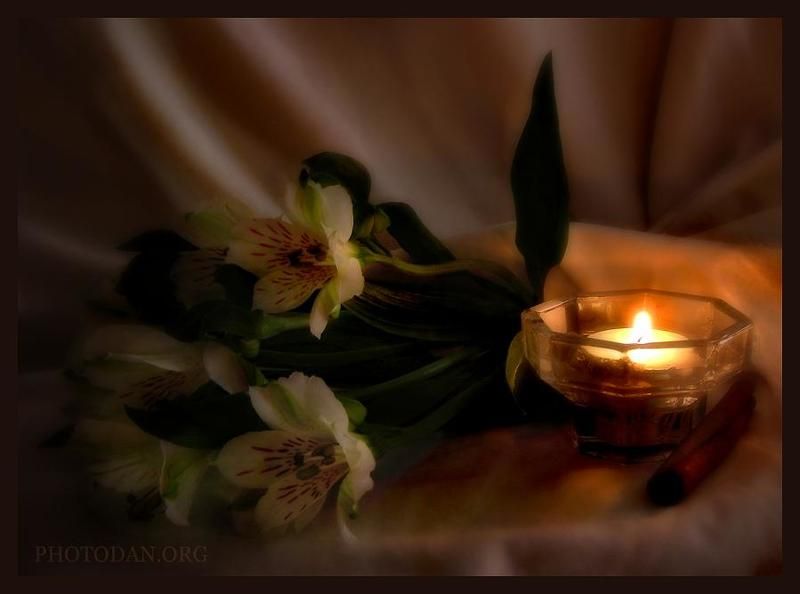 альстрёмерия Свеча горела...photo preview