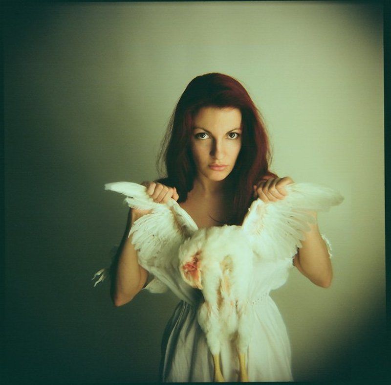 брушша тяжёлый выход в реальность! или осознание отсутствия ножек Бушша...photo preview