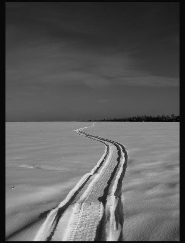 IMGP5567.jpgphoto preview