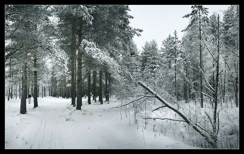 зима удаласьphoto preview