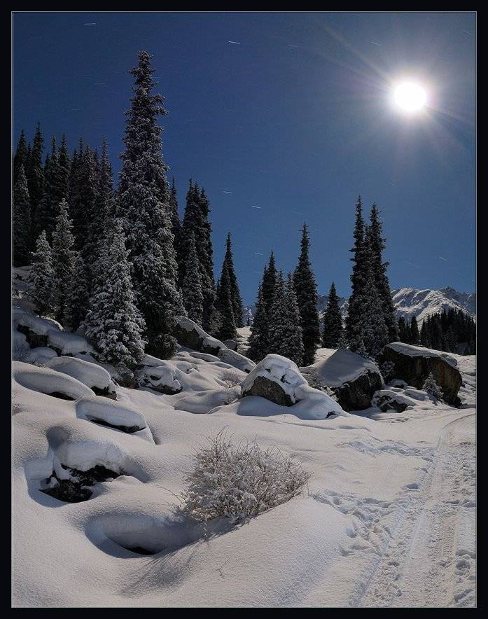 Лунный лес. Автор: Андрей Ухов природа,горы,зима,снег,лес,елки,ночь,луна,дорога, Андрей Ухов