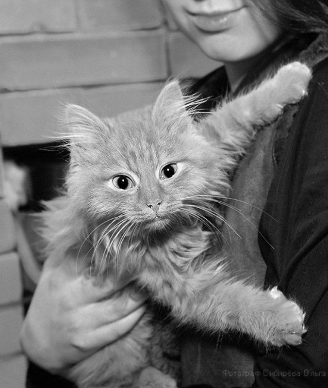 Санёкphoto preview