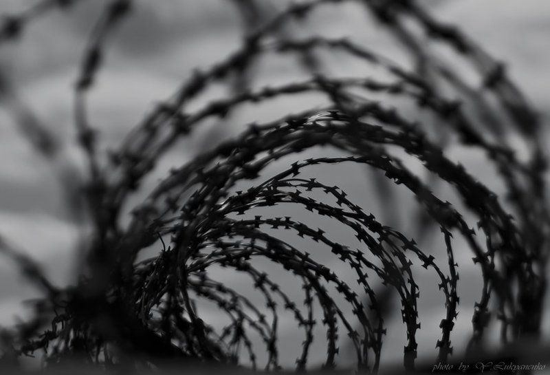 несвобода, лукьяненко Несвобода фото превью