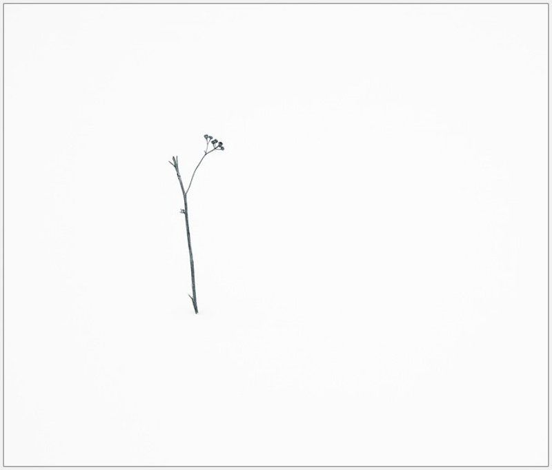 ...nothing more...nothing less...photo preview