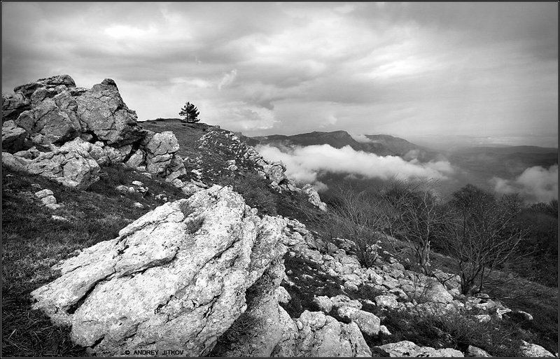 * * * фото превью