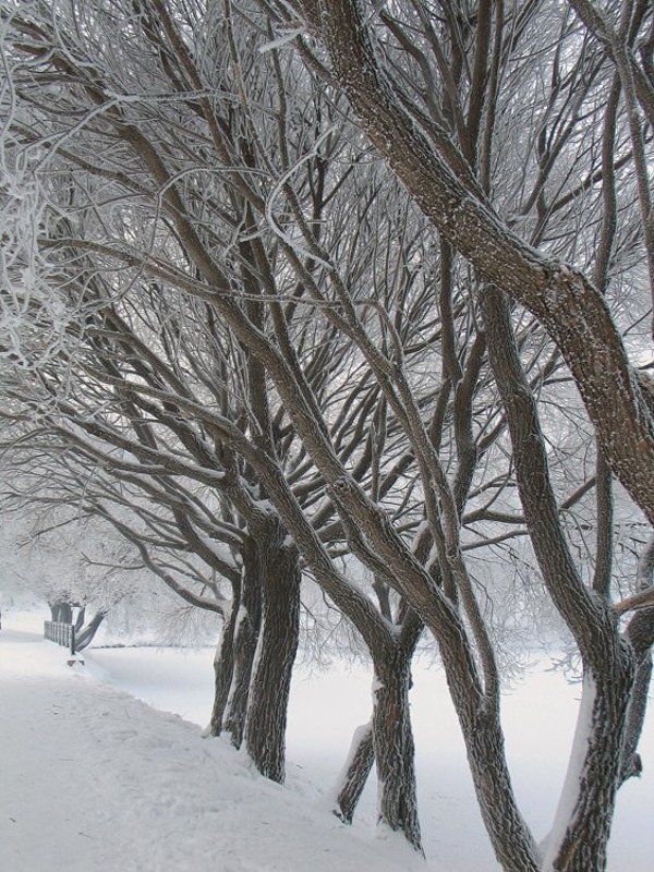 холод, снег ,мороз Обнаженныеphoto preview