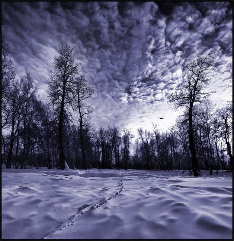 хакасия ЗИМНИЕ ОКОВЫphoto preview