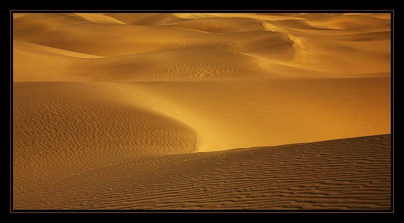 Золото мёртвых дюнphoto preview