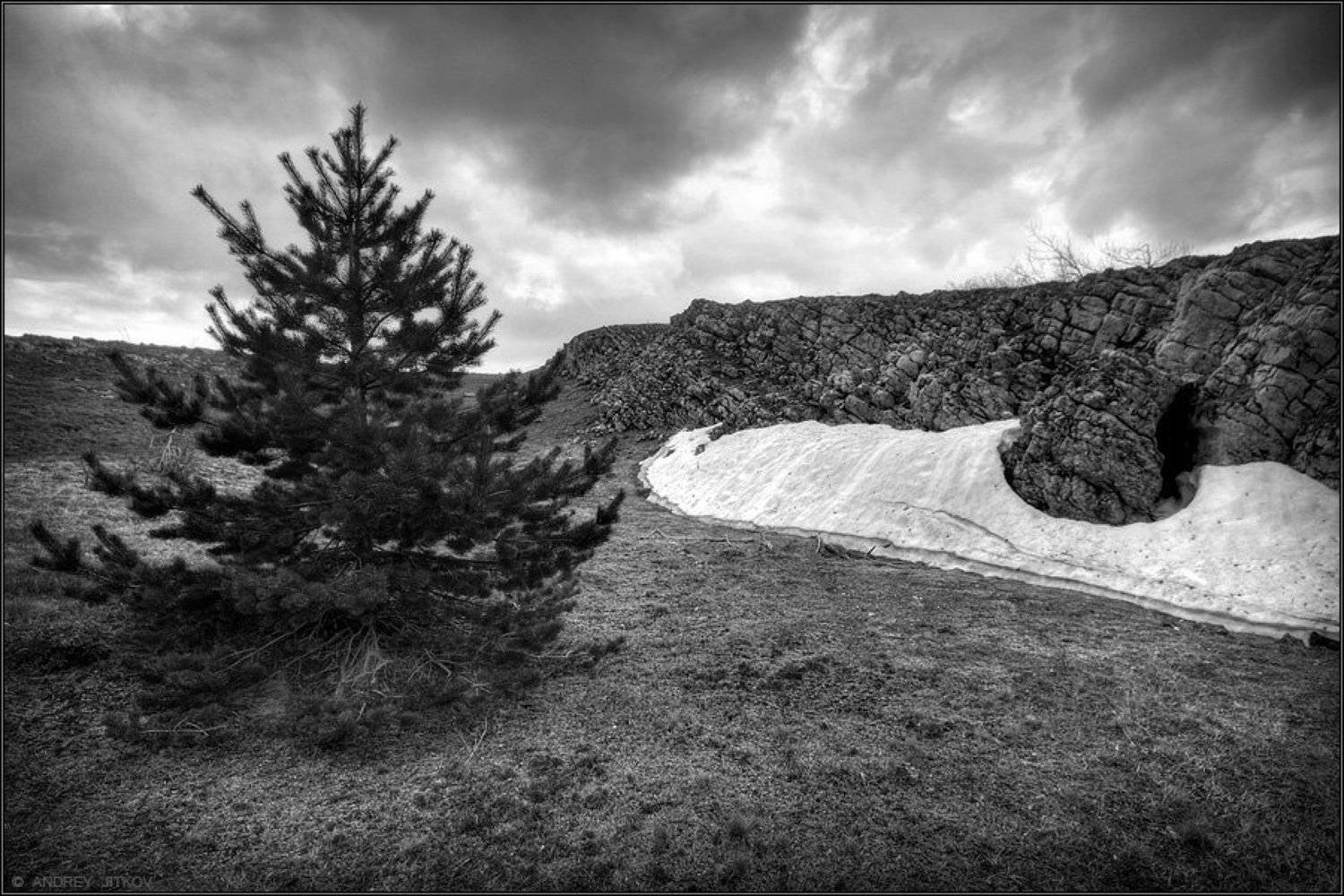 крым, демерджи, пейзаж, ель, Андрей Житков