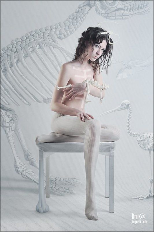 музей дарвина, скелет, рыба, динозавр, птица, человек 20 000 лет до НЭphoto preview