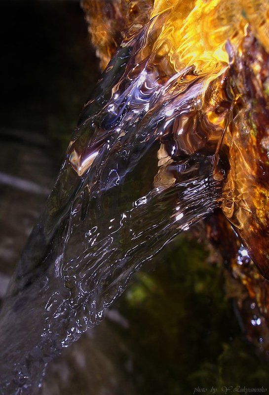 родник, солнце, вода,  лукьяненко Немного солнца в лесном родникеphoto preview