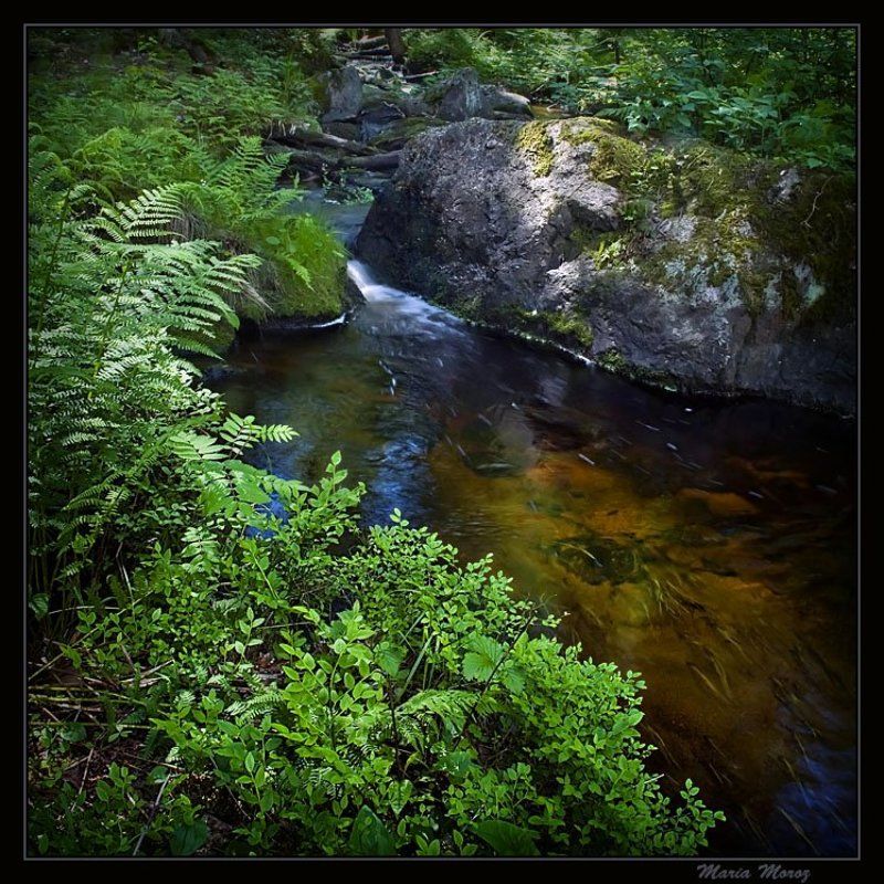 Бежит и ласково журчитphoto preview