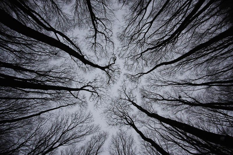 Вштырило =)photo preview