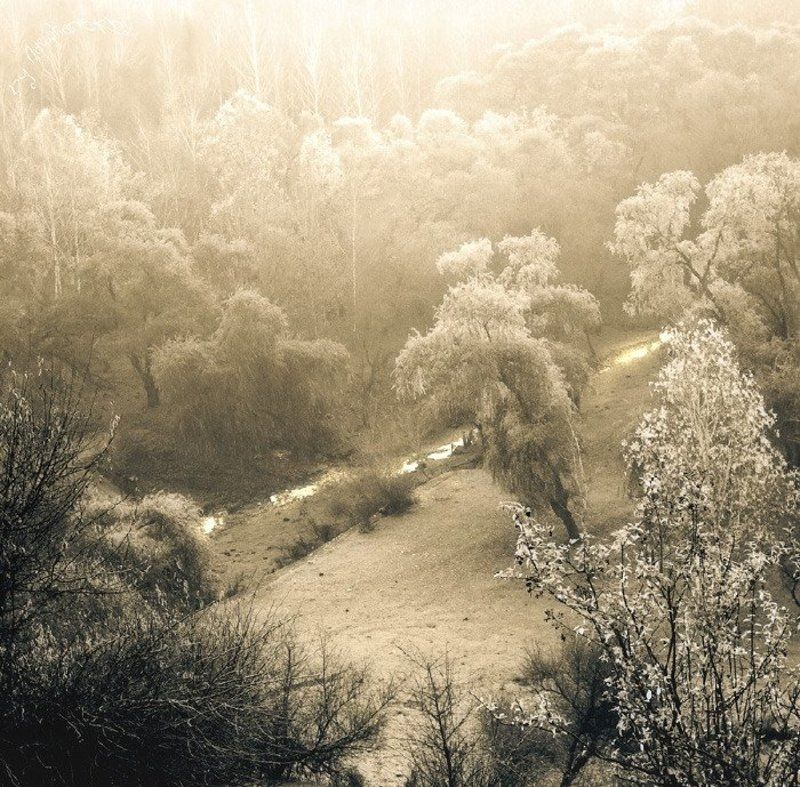 деревья, леса, поля, холмы, ручей, смех Земля без смеха.photo preview