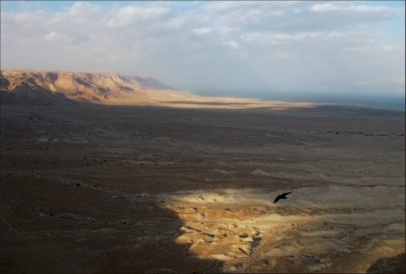 царство, ирод, море, мёртвое, масада, ворон, израиль Царство Ирода.photo preview