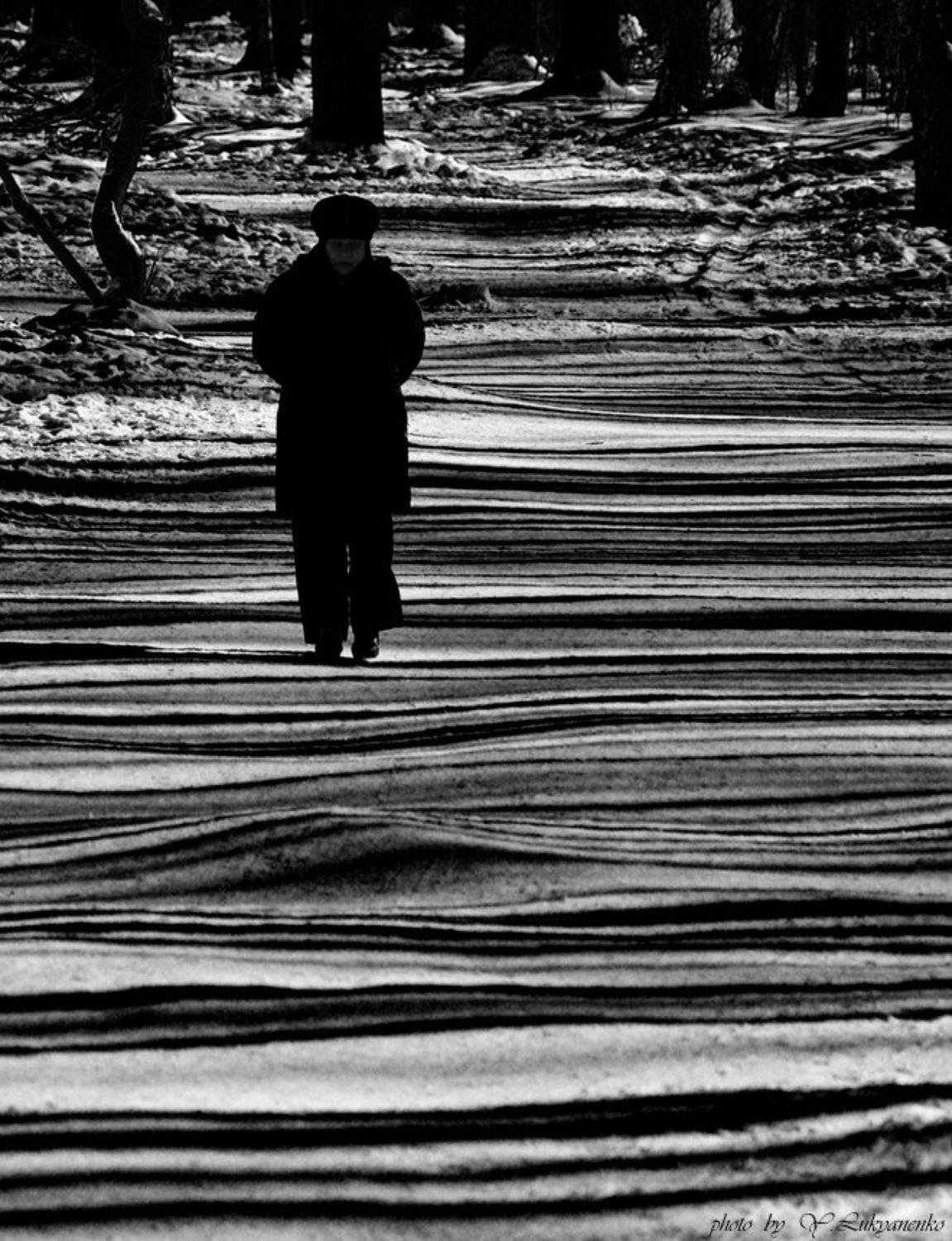 Жизнь полосатая.... Автор: Юрий Лукьяненко (o4spok) жизнь, полосатая, тимирязевский, лес, лукьяненко, Юрий Лукьяненко (o4spok)