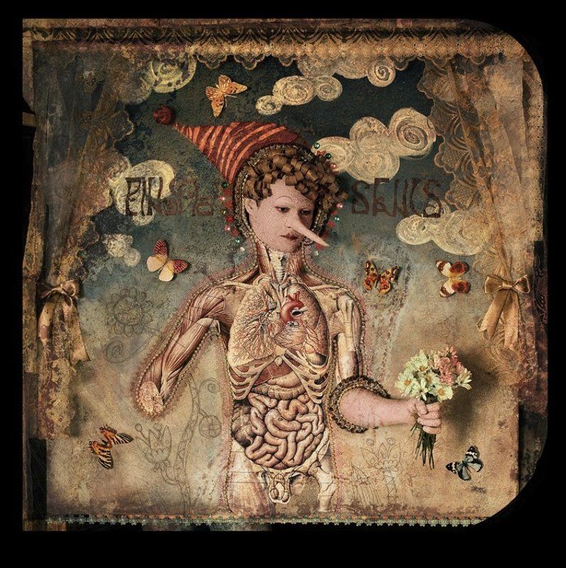 портрет Буратиноphoto preview